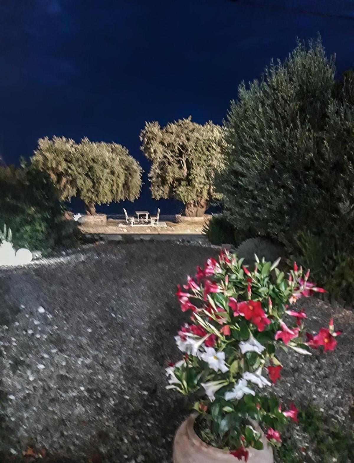 Сasa de vacaciones Mara με ιδιωτική παραλία