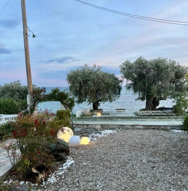 Mara με ιδιωτική παραλία Сasa de vacaciones